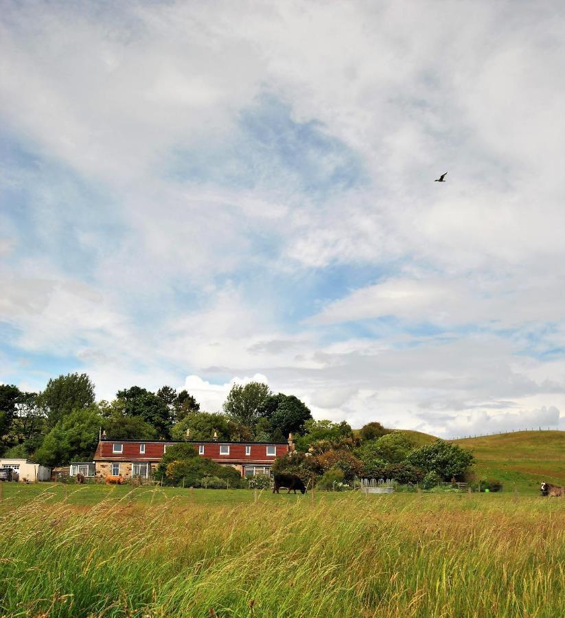 Clover Cottage Countryside Retreat With Sea Views Крейл Екстериор снимка