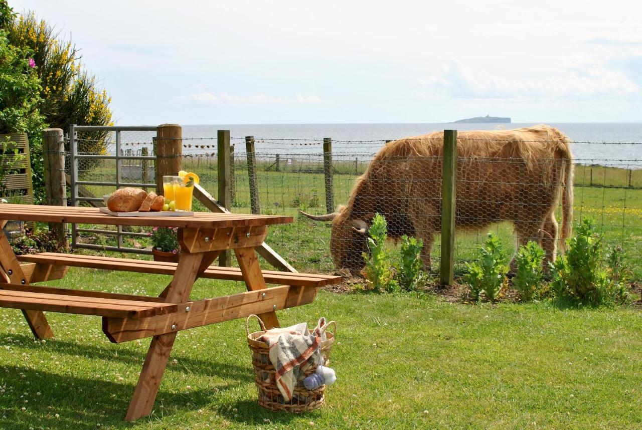 Clover Cottage Countryside Retreat With Sea Views Крейл Екстериор снимка
