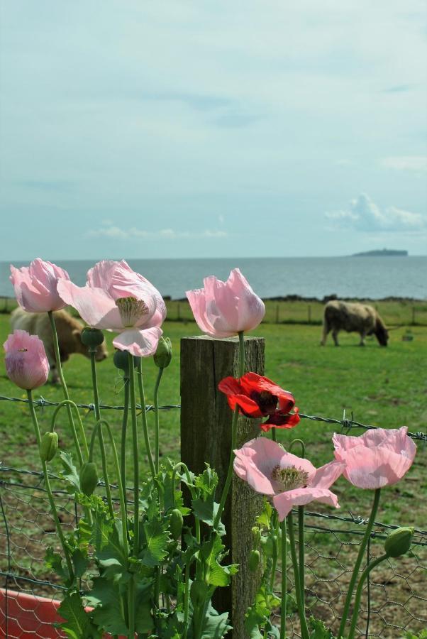 Clover Cottage Countryside Retreat With Sea Views Крейл Екстериор снимка